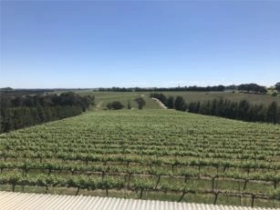 Grove Estate Wines 3.3kW Commercial Solar Installation, Young NSW