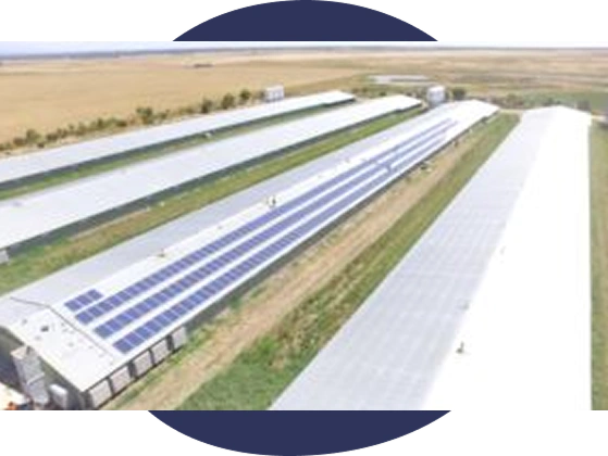 Rural Funds Management 396kW Commercial Solar Installation, Lethbridge VIC