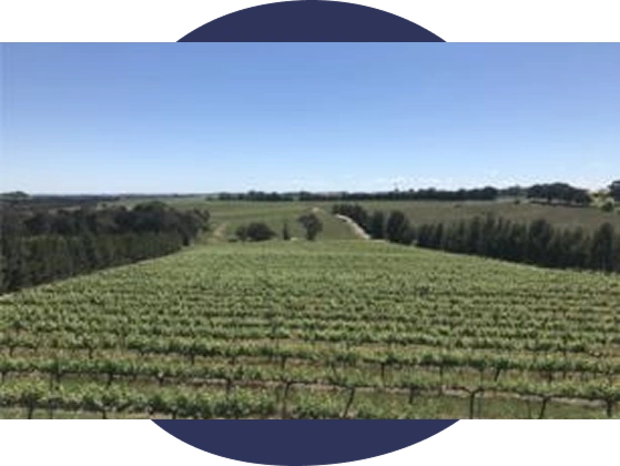 Grove Estate Wines 3.3kW Commercial Solar Installation, Young NSW