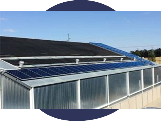 Wagga Swim School 30.42kW Commercial Rooftop Solar, Wagga Wagga NSW
